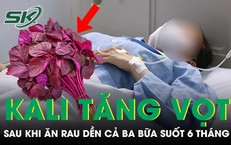 Ăn rau dền liên tục 6 tháng, xét nghiệm kali máu và axit uric tăng vọt