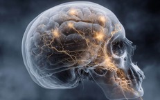 Phát hiện cơ quan mới ẩn trong hộp sọ có khả năng phòng ngừa ung thư não