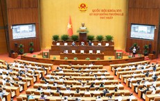 Hôm nay, Quốc hội thảo luận định hướng sửa đổi Luật Đất đai và Luật Nhà ở