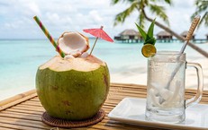 Sốt xuất huyết có nên uống nước dừa? Những điều cần biết khi bù nước