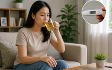 Sốt xuất huyết có nên dùng thuốc nam để hạ sốt, giải nhiệt?