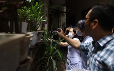 Phường Ba Đình triển khai 90 đội diệt bọ gậy, kiểm soát sốt xuất huyết từ khu dân cư