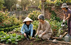 Vượt qua ‘cơn bão cảm xúc’ ở tuổi trung niên