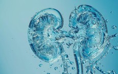Dấu hiệu cảnh báo thận đang suy yếu