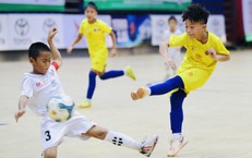 Lịch thi đấu bóng đá hôm nay ngày 23/8 - 24/8: Nhiều trận cầu hấp dẫn
