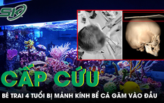 Bé trai 4 tuổi bị mảnh kính bể cá găm vào đầu