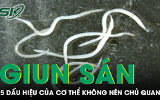 5 dấu hiệu cảnh báo cơ thể đầy giun sán không thể chủ quan