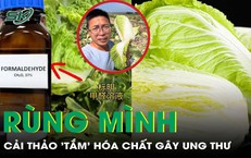 Rùng mình cải thảo ‘tắm’ hóa chất gây ung thư