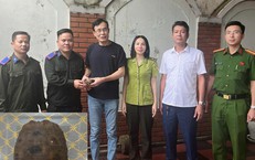 Người dân giao nộp rùa núi vàng quý hiếm