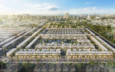 Tập đoàn Bất động sản Quốc gia vi phạm chứng khoán