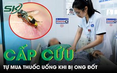 Bị ong đốt, người phụ nữ tự mua thuốc uống rồi nhập viện cấp cứu