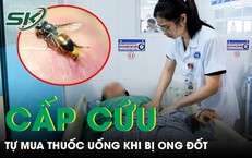 Người phụ nữ tử vong vì bị đàn ong vò vẽ tấn công 