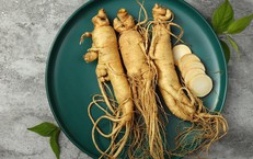Người tăng huyết áp có phải kiêng nhân sâm?
