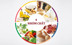 Cách xây dựng thực đơn ăn dặm cân bằng 4 nhóm chất cho trẻ