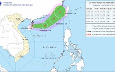 21 tỉnh thành ứng phó với áp thấp nhiệt đới sắp mạnh lên thành bão