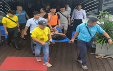 Cứu kịp thời du khách gặp sự cố sức khỏe trên Vịnh Hạ Long