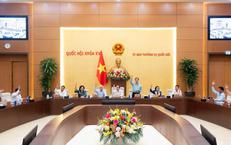 Tán thành trình Quốc hội thành lập TP Quảng Ninh và TP Bắc Ninh, cơ bản giữ nguyên tổ chức bộ máy