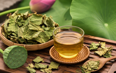 Uống trà lá sen vào thời điểm nào hỗ trợ giảm cân hiệu quả nhất?