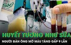 Huyết tương trắng đục như sữa, chỉ số mỡ máu tăng gấp 9 lần 