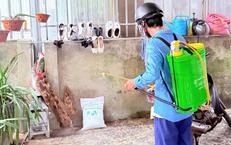 Phát hiện ổ dịch sốt xuất huyết tại Hà Tĩnh