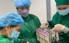 Nhiều bà mẹ hiến sữa trao cơ hội sống cho trẻ sinh non