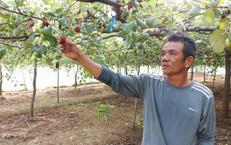 Nhiều người dân phản ánh nguồn nước hồ Sông Biêu có màu xám đục, ảnh hưởng cây trồng, vật nuôi