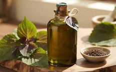 3 lợi ích của dầu tía tô với người ăn kiêng, giảm cân