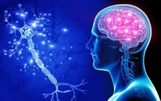 4 yếu tố nguy cơ gây bệnh Alzheimer