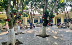 Hiểu đúng về bệnh tâm thần để điều trị hiệu quả và sớm hòa nhập cộng đồng