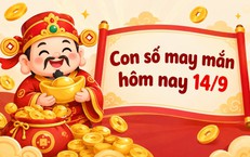 Con số may mắn hôm nay 14/9 - vận may tài lộc 12 con giáp tuần mới