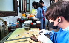 Những mảnh ghép thầm lặng của bác sĩ nội trú Đại học Y Hà Nội