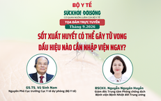 Truyền hình trực tuyến: Sốt xuất huyết có thể gây tử vong, dấu hiệu cần nhập viện