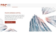 Quỹ đầu tư Pacific Bridge vi phạm lĩnh vực chứng khoán