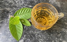 Những công dụng chữa bệnh tuyệt vời từ lá ổi ít người biết