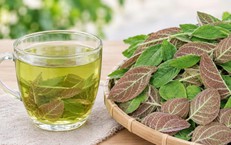 4 sai lầm khi sử dụng lá mơ lông nhiều người mắc phải
