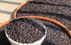 4 lầm tưởng về tinh bột và đường huyết mà người bệnh đái tháo đường nên biết