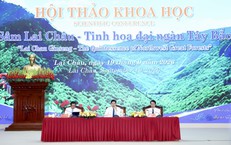 Phát triển Sâm Lai Châu: Bàn giải pháp từ nguồn giống đến sản phẩm