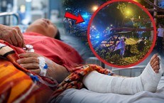 Chồng tử vong tại chỗ, vợ đa chấn thương nghiêm trọng vì nhánh cây rơi trúng