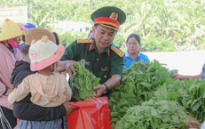Vườn rau gắn kết quân – dân ở Ba Ngòi