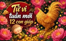 Tử vi tuần mới 12 con giáp từ 21-27/9: Hợi gặp trở ngại, Mùi nhiều thay đổi