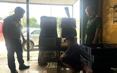 Thu giữ nhiều loài chim quý hiếm tại nhà dân