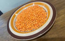 5 lợi ích sức khỏe hàng đầu của đậu lăng
