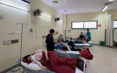 Nguyên nhân vụ ngộ độc tại Công ty Scavi Huế khiến 222 người nhập viện