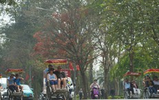 Ngày và đêm dài đúng bằng nhau trong ngày Thu phân 23/9?