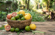 Chanh đào với chanh xanh, chanh vàng: Loại nào tốt hơn?
