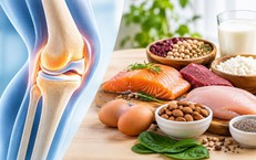 Tại sao chất đạm (protein) lại quan trọng với xương khớp?