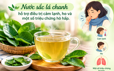3 cách dùng lá chanh giảm ho, dễ thực hiện có tác dụng tốt tại nhà