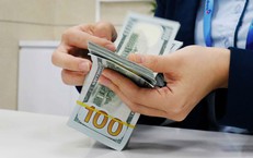 Tỷ giá hôm nay 3/9: Giá USD biến động nhẹ