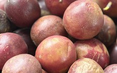 Tiểu thương bật mí cách chọn những trái chanh leo thơm ngon, mọng nước
