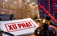 Công ty Cổ phần TIE bị phạt hơn 200 triệu đồng